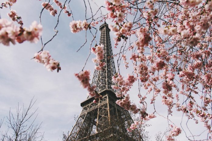 cherry blossom in paris seasonal activities to do in paris